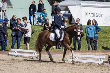 Bild 565 - Pony Akademie Turnier